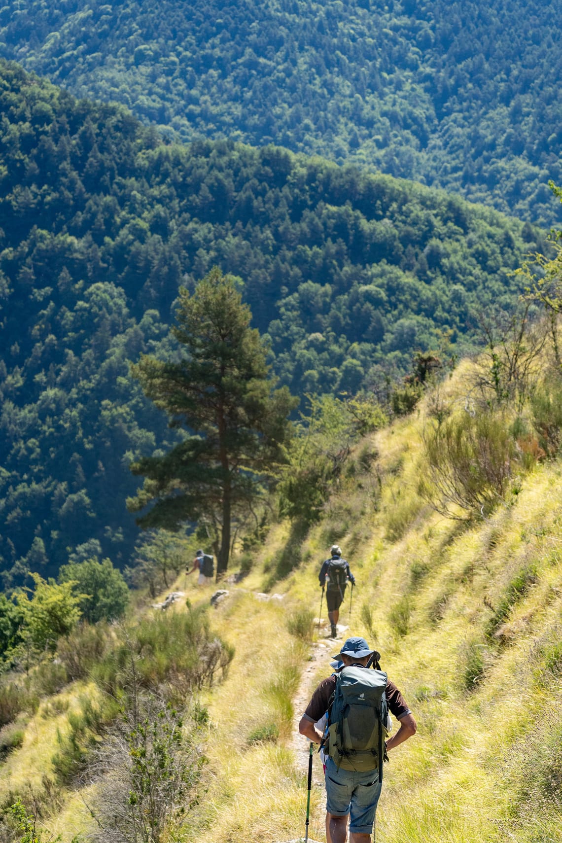 Randonneurs dans le parc du Mercantour